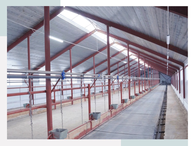 Строительство коровников в Костроме от 613 руб.