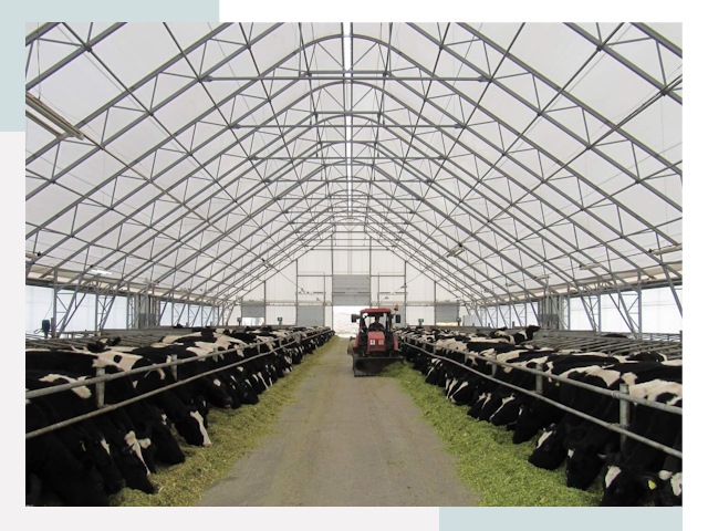 Тентовые коровники в Костроме от 613 руб. - Надежно и доступно