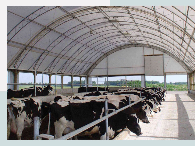 Тентовые коровники в Костроме